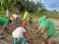 Dinas Pertanian dan Ketahanan Pangan Kabupaten Fakfak mengembangkan bawang merah seluas 2 hektar di Kampung Weri Distrik Fakfak Timur, Kabupaten Fakfak, Papua Barat,